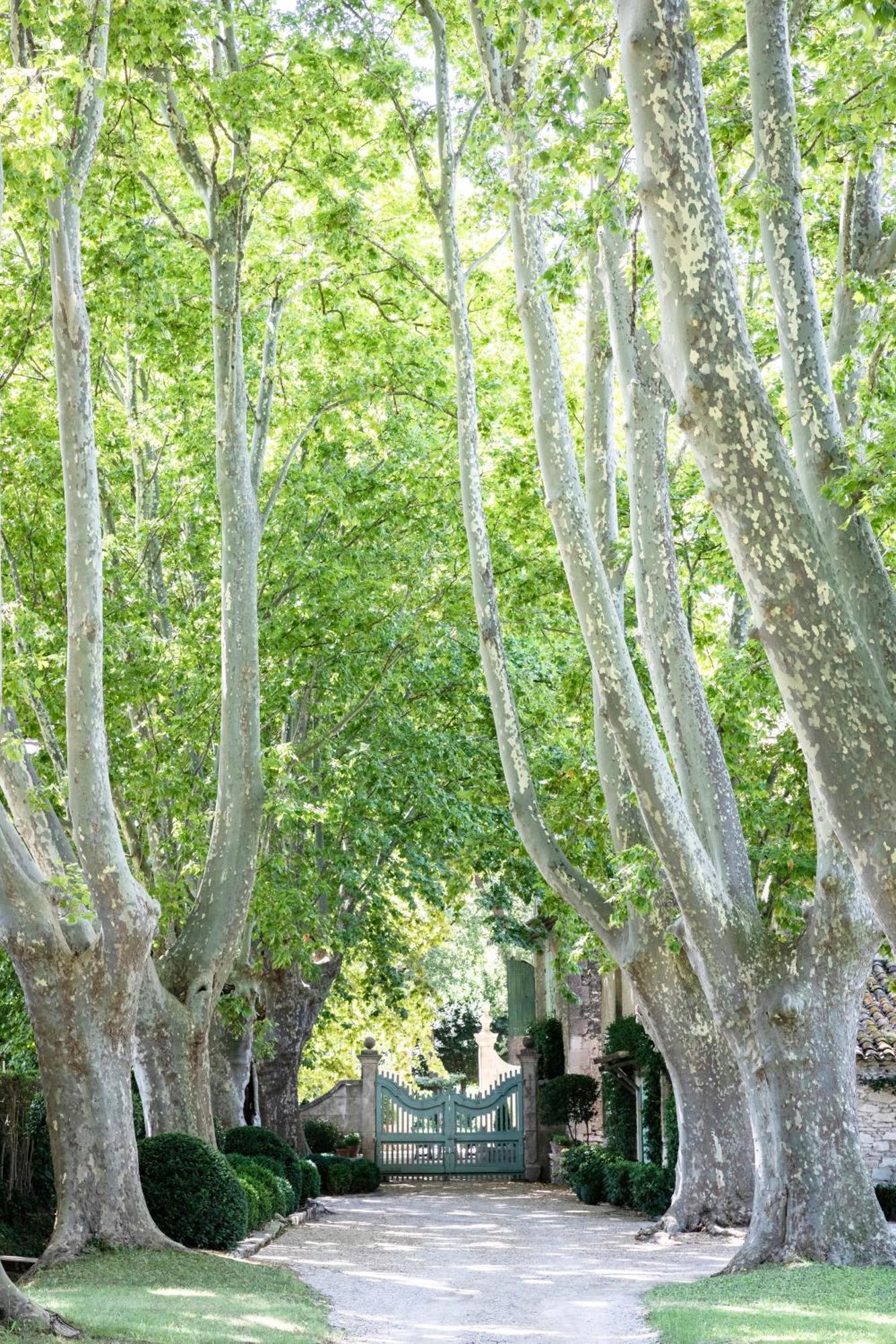 Domaine De Chalamon Bed & Breakfast Saint-Remy-de-Provence Luaran gambar